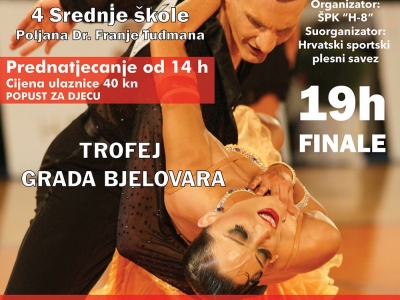 Plakat-ples-bjelovar-2017