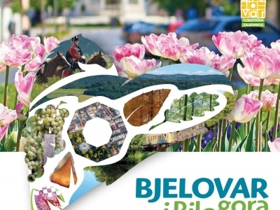 Bjelovar i Bilogora